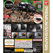 新箱識 🌟 8月新貨🌟 現貨 行版 全新 扭蛋 BANDAI 動物大圖鑑象兜蟲屬與長戟大兜蟲 一套4款